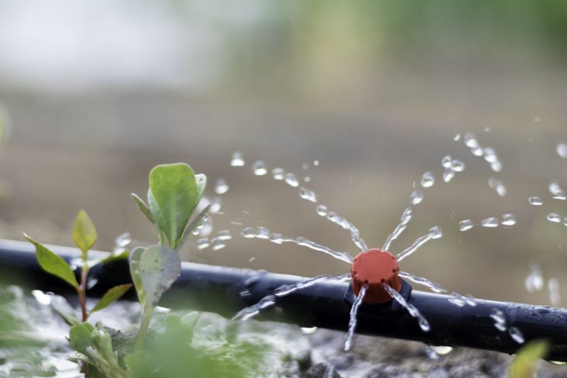 Mist Irrigation Installation in Honolulu, HI