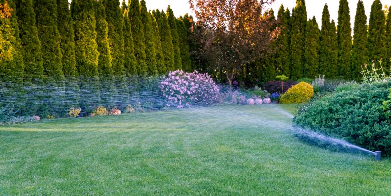 Shrub Watering