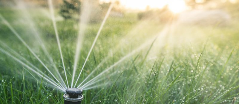 Sprinkler Head Replacement in Aiken, SC