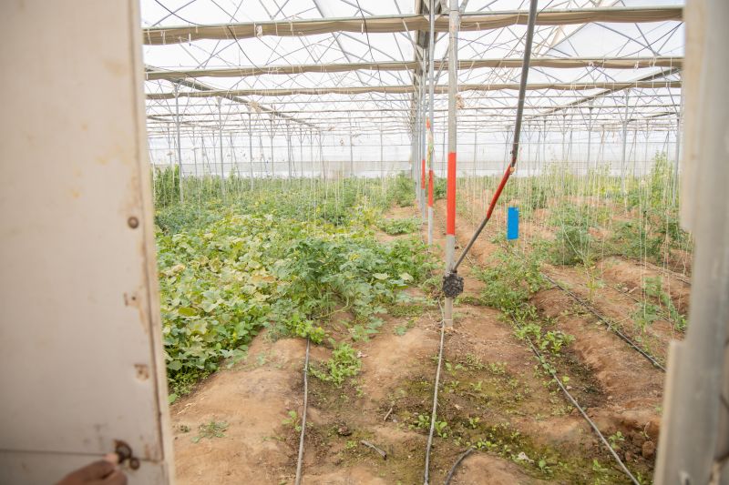 Watering System Installation in Aiken, SC