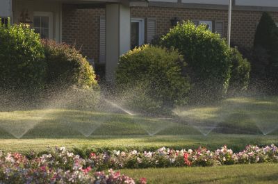 Get a Sprinkler System or Irrigation System Installed So Your Shrubs Get The Water They Need